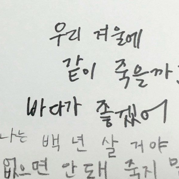 백수련 대표 이미지