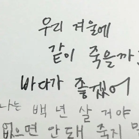 QkdQkd의 백수련