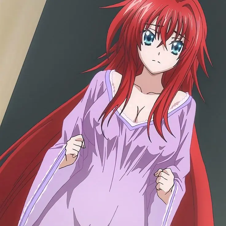 SassySheep0905의 Dxd harem