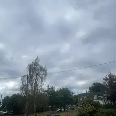 HappyThumb8888의 Ghost - Adopting a German Shepherd