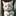 온유