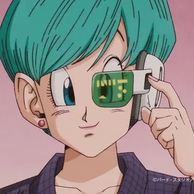 Profile image of ブルマ