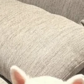 현빈쌤