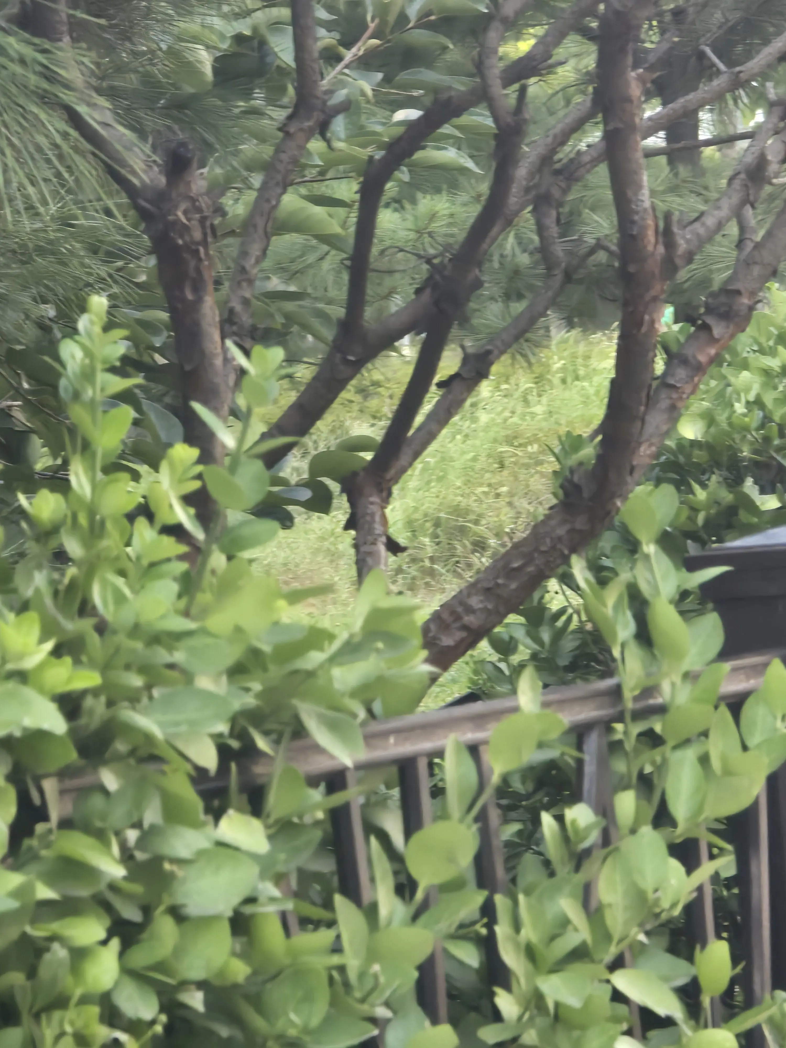 FrayedSlab8379의 시민?구조해요