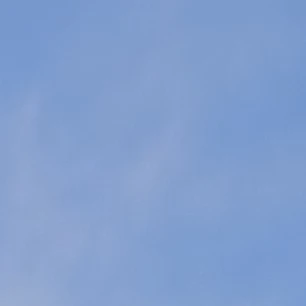 한지성