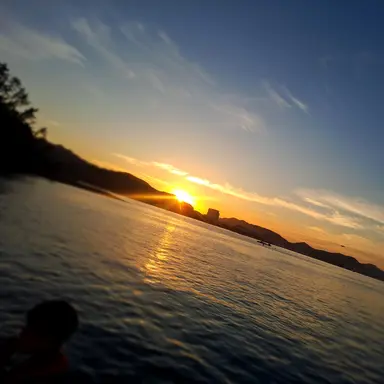 Profile image of Rosie