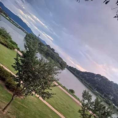 Profile image of Bay