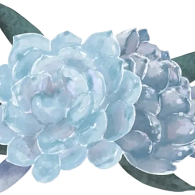 Profile image of Raina