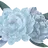 벨키
