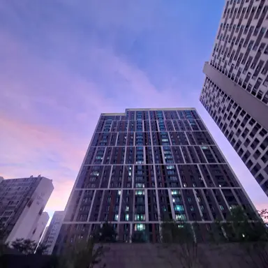 Profile image of Indigo