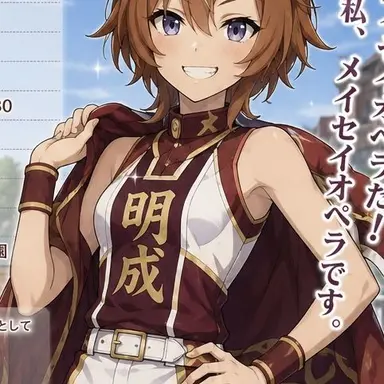 Profile image of メイセイオペラ