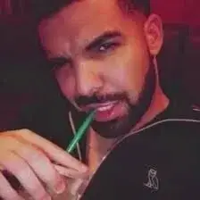 FuzzyVoice3266의 Drizzy Drake