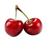 Profile image of 체리