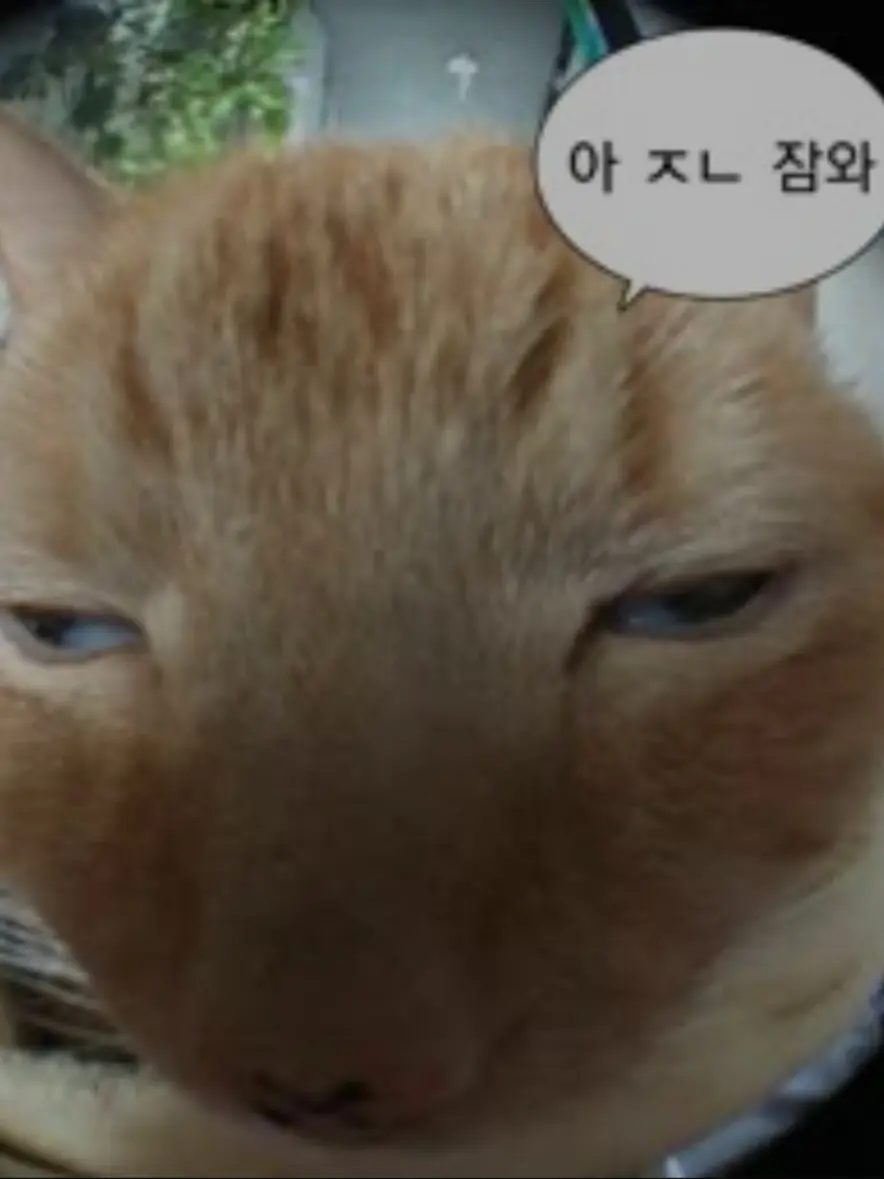 GoodForsaken의 여우가 전학왔다...