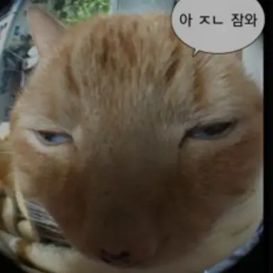 Profile image of 여우