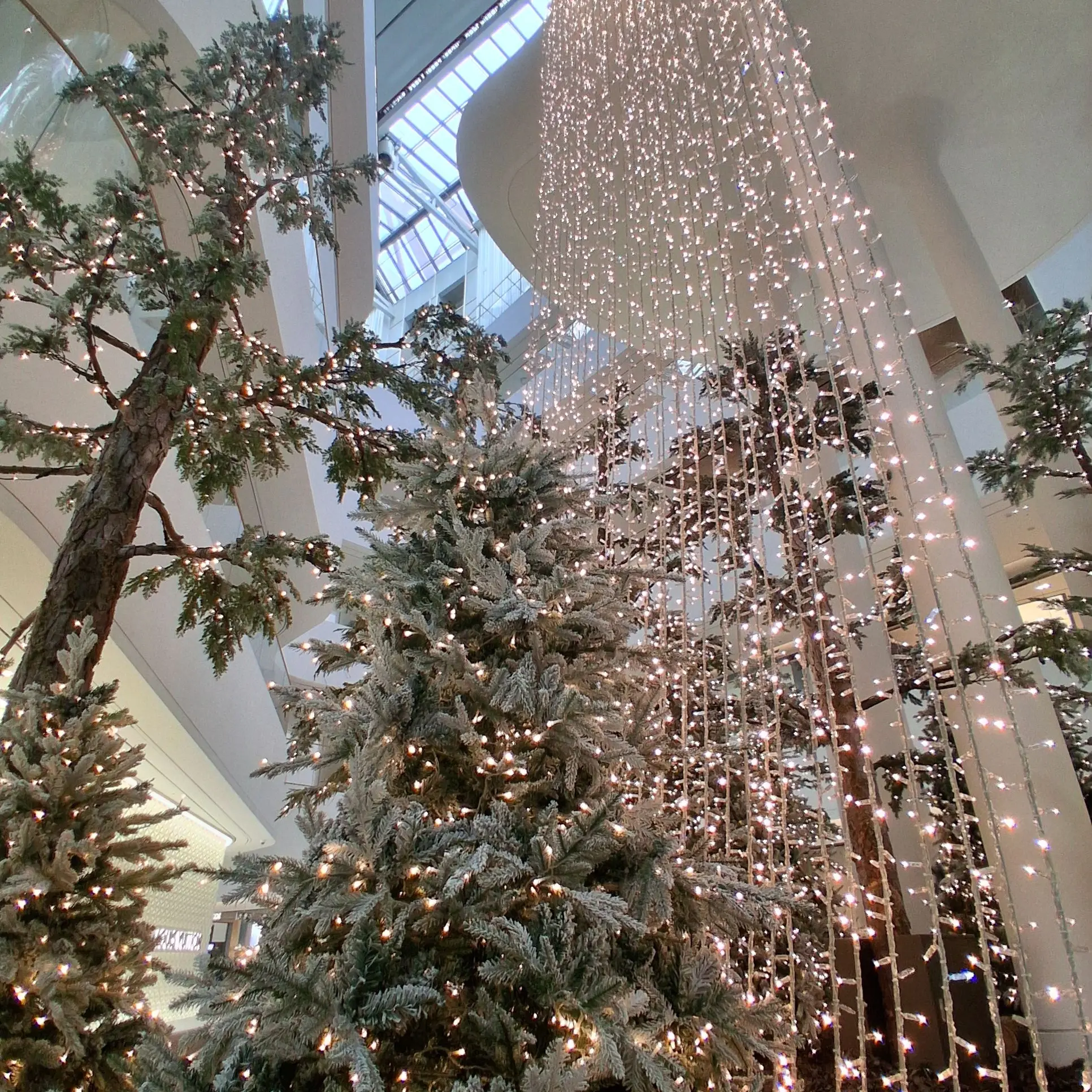 GreatComic0617의 이노스케의 아이를 가진 당신