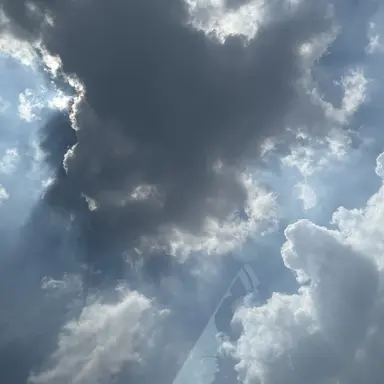 Profile image of 상현