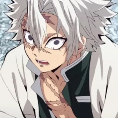 Profile image of 시나즈가와 사네미