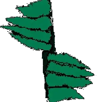 Profile image of 스템