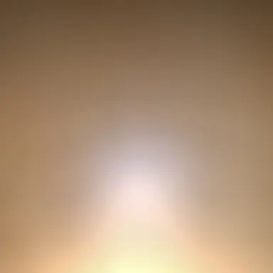 Profile image of 塩崎太智