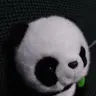 Profile image of 랑이