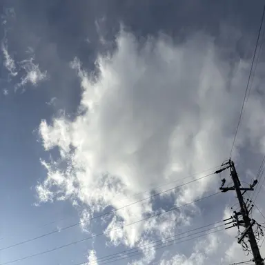 Profile image of ハナ