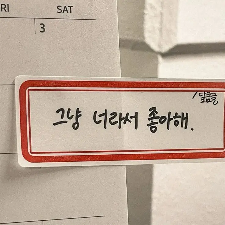 Anilaneunyong_320의 황현진