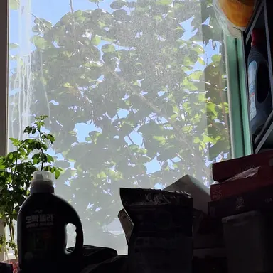 Profile image of 소녀의 세계2..