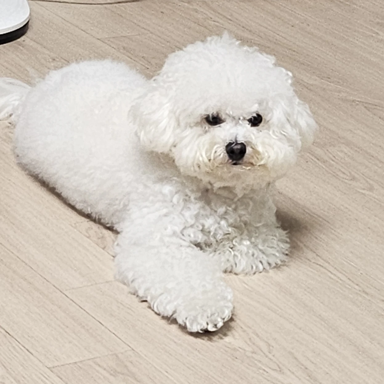 창섭