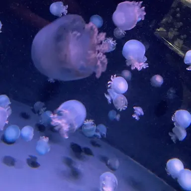 Profile image of あ