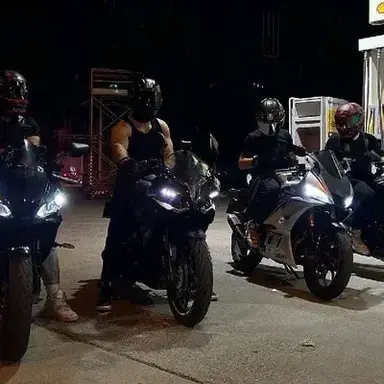 Profile image of Roxie