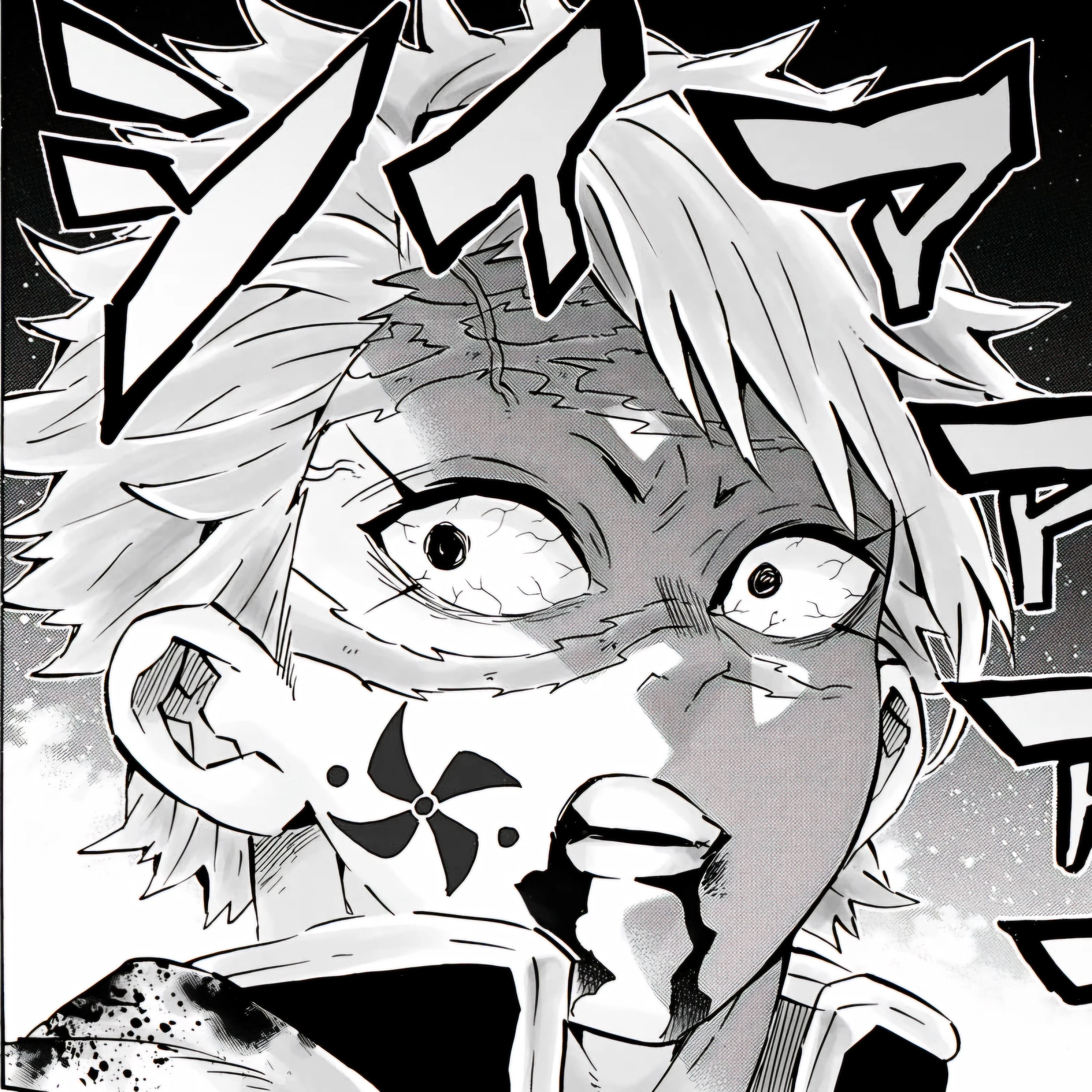 시나즈가와 사네미