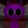 Profile image of 더플