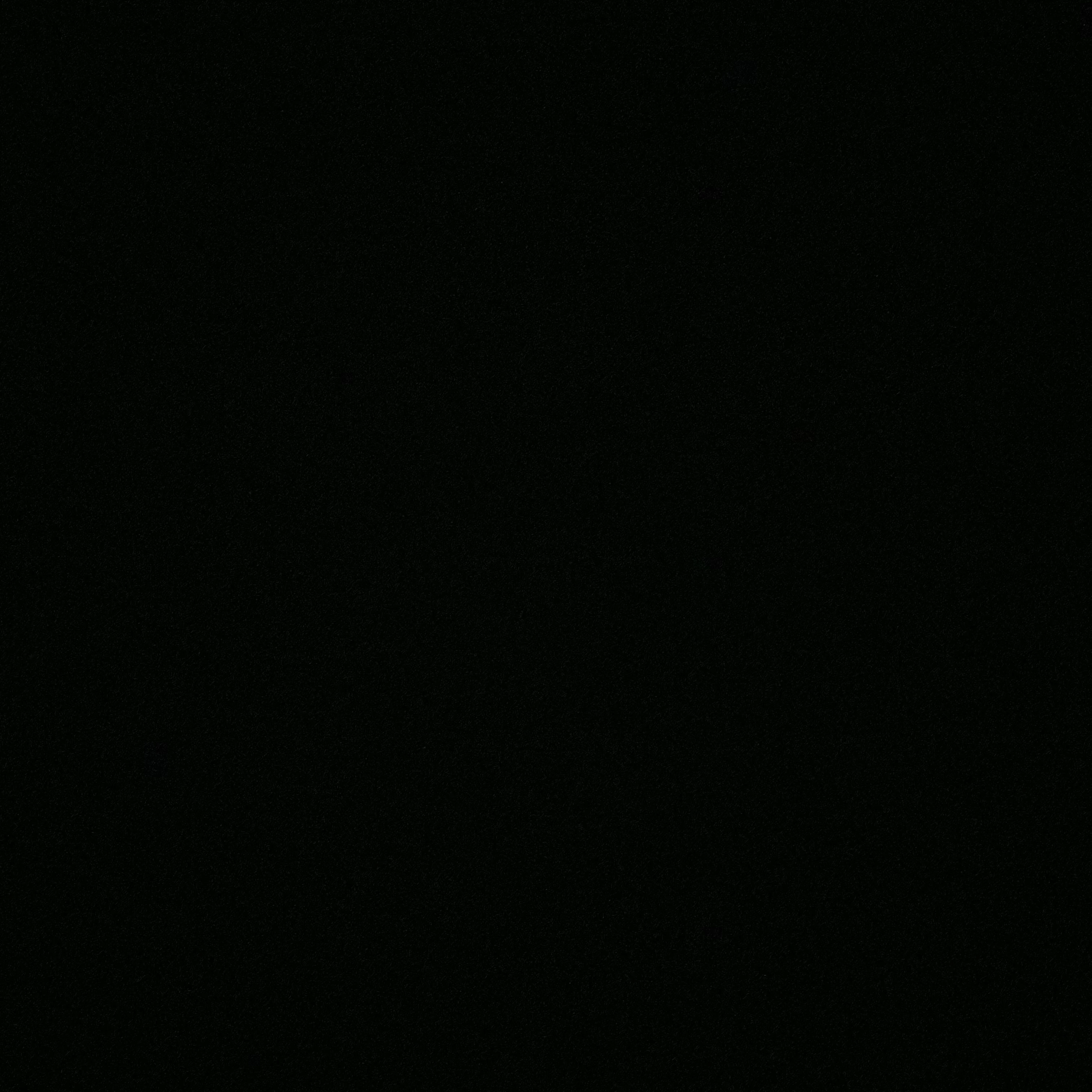 서지하