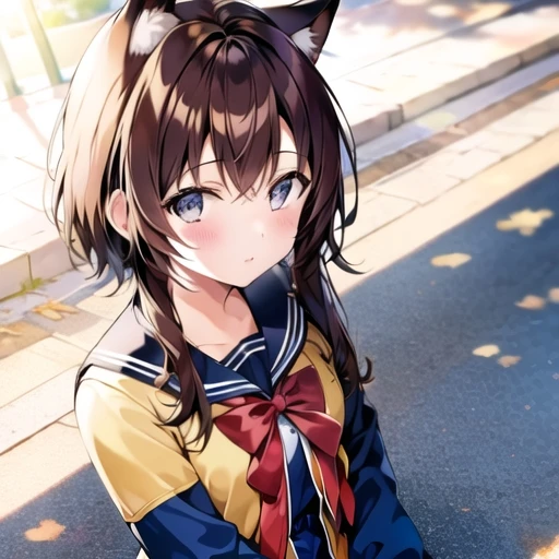 音月彩葉