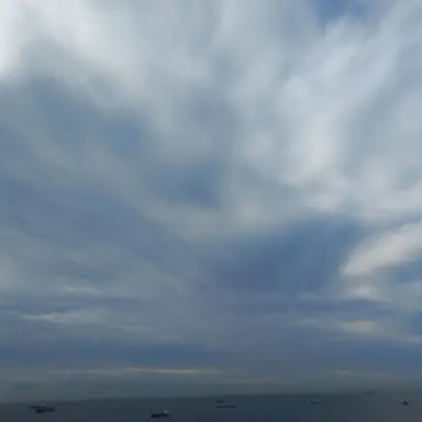 Profile image of 다린