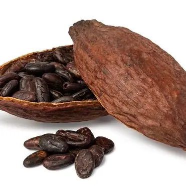 Profile image of Dark Cacao