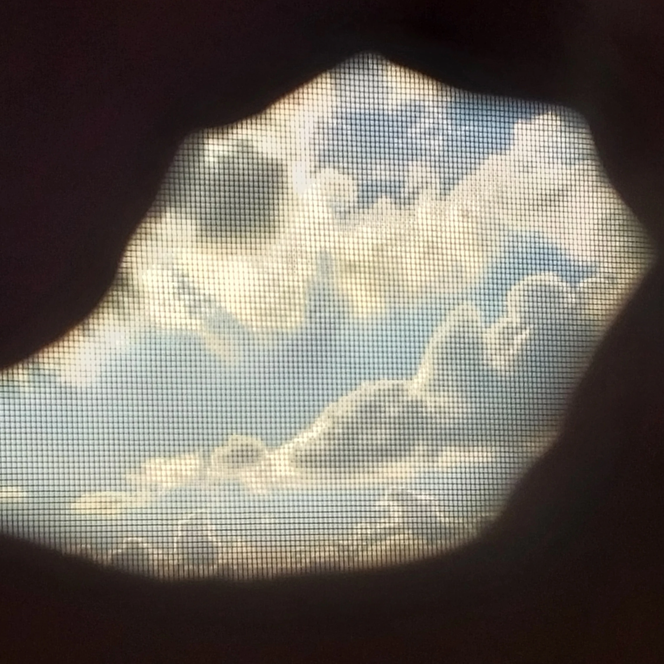 명재현