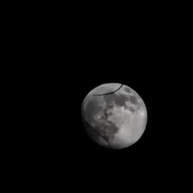 Profile image of 픽셀리