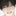 김상연