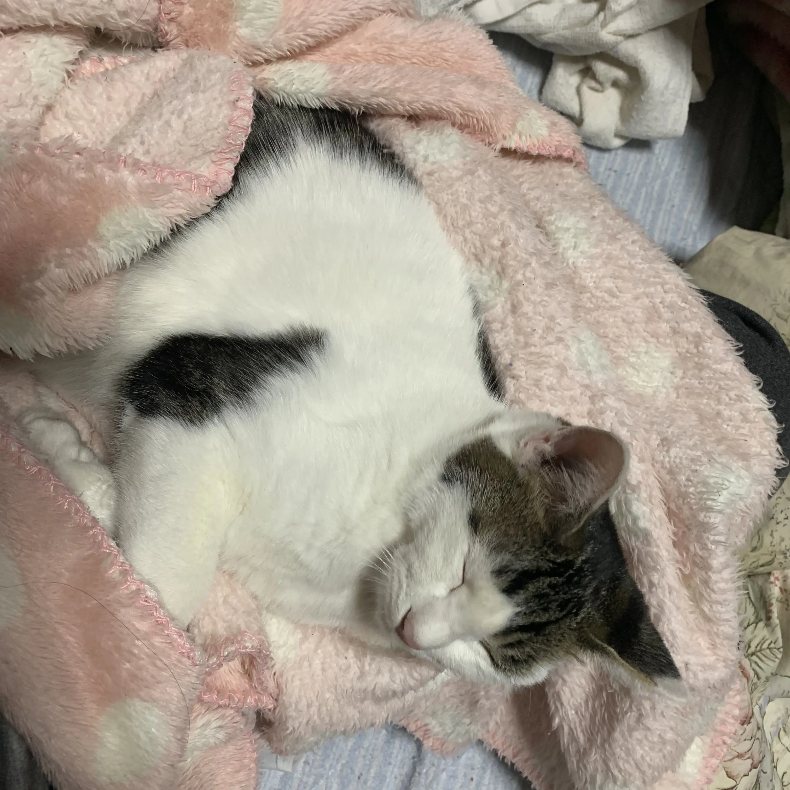 SwiftTrade8702의 事務所先の友達