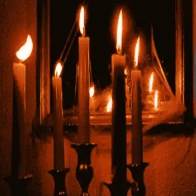 Profile image of 서라더