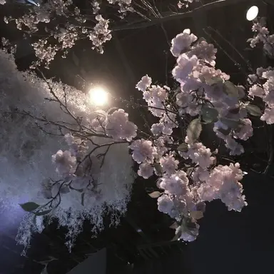 Profile image of 우치나가 애리