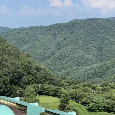 Profile image of 이수호