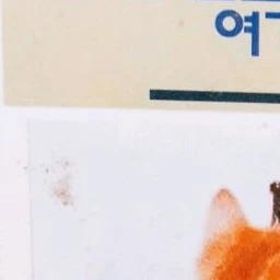 윤현준