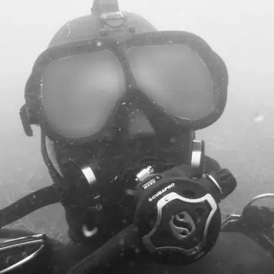 Profile image of 하버트