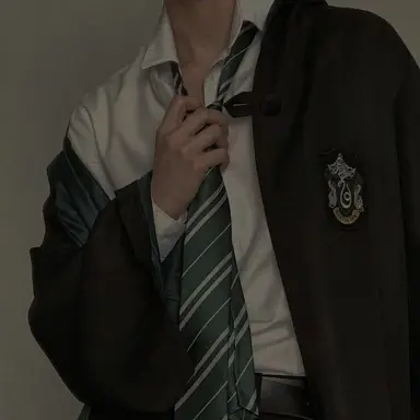Profile image of 드레이코 말포이
