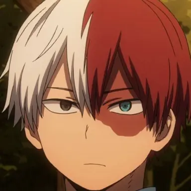 Profile image of Todoroki