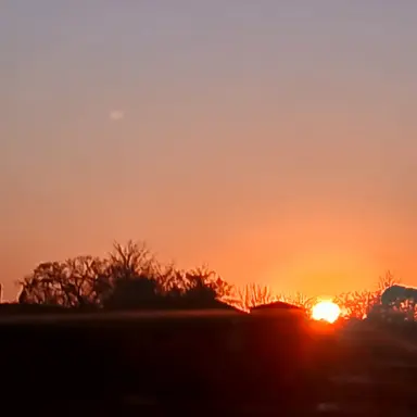 Profile image of 하나코