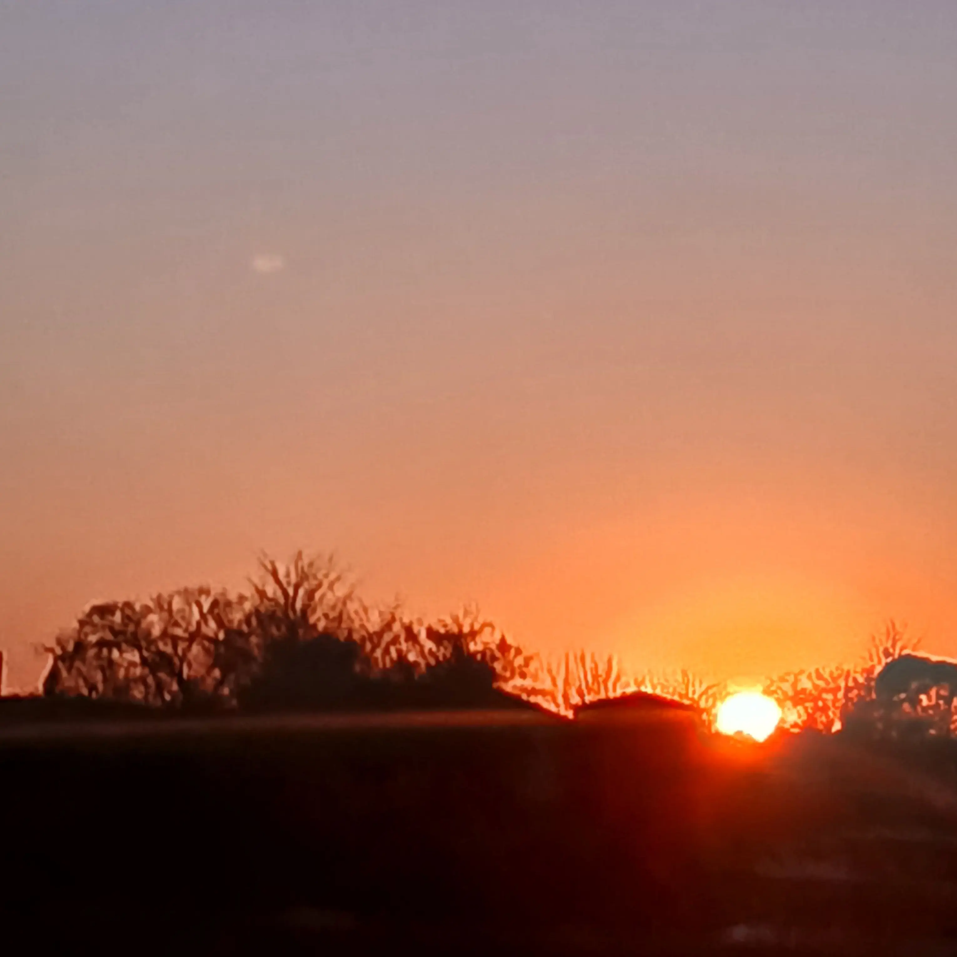 UnfitGoat3107의 지박소년 하나코군 고등학교